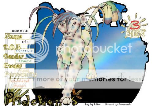 User Image
